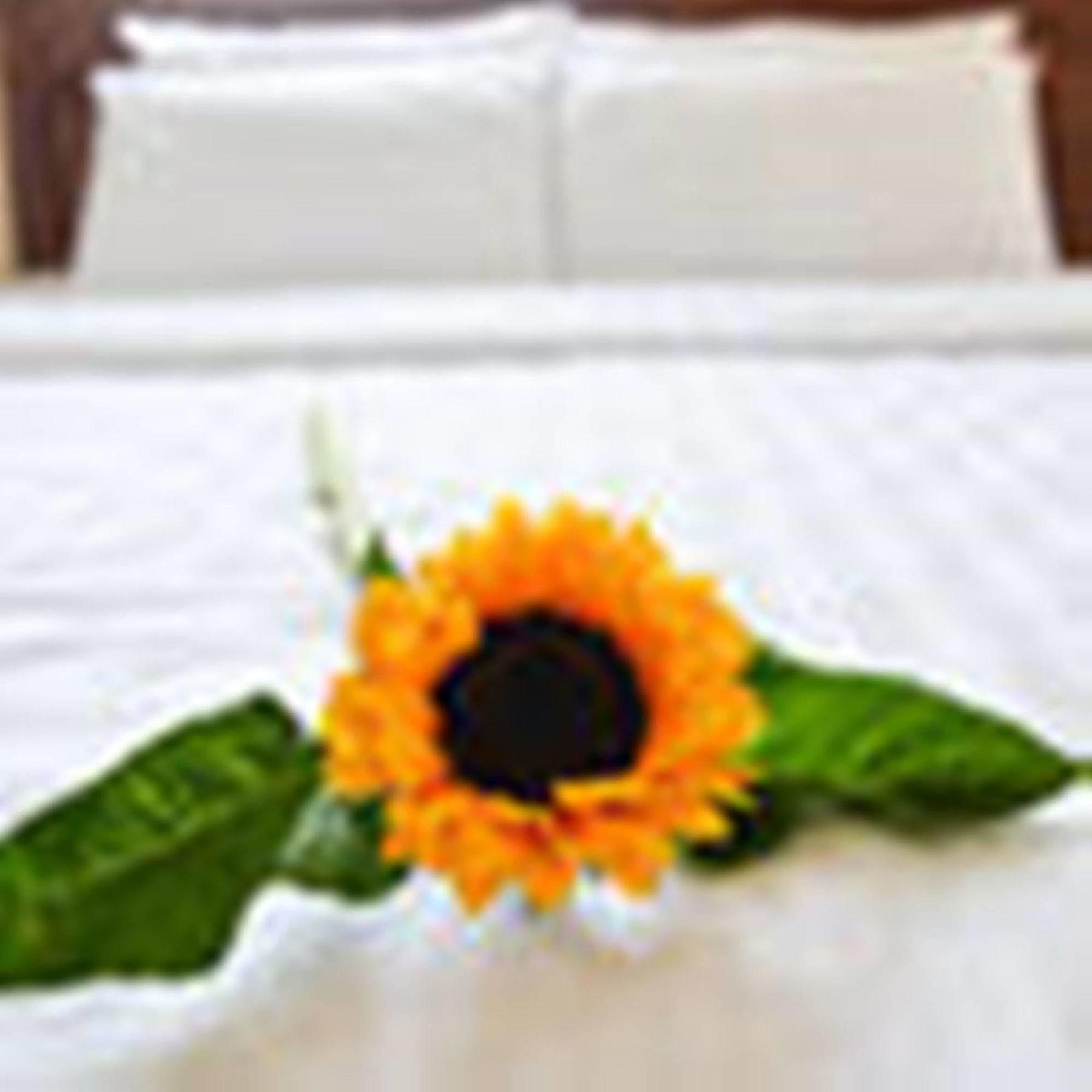 Fulmar Hotel Da Nang Exterior photo